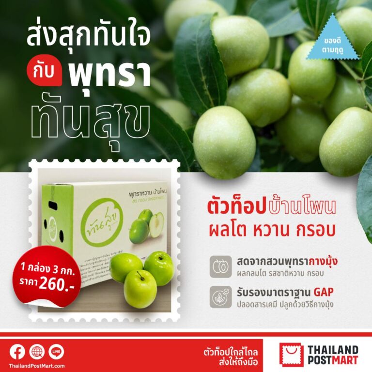 ไปรษณีย์ไทย ส่งตรงของดีจากสวน “พุทรา ทันสุข” ผลไม้ตัวท็อปกาฬสินธุ์ หวาน กรอบระดับพรีเมียม ปลูกด้วยวิธีธรรมชาติ