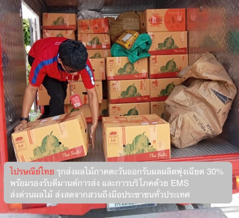 ไปรษณีย์ไทย รุกส่งผลไม้ภาคตะวันออกรับผลผลิตพุ่งเฉียด 30% พร้อมรองรับดีมานด์การส่ง และการบริโภคด้วย EMS ส่งด่วนผลไม้ ส่งสดจากสวนถึงมือประชาชนทั่วประเทศ