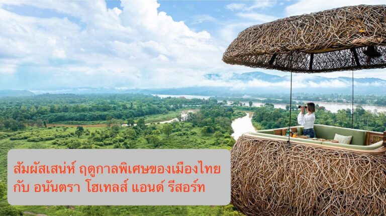 สัมผัสเสน่ห์ฤดูกาลพิเศษของเมืองไทยไปกับอนันตรา โฮเทลส์ แอนด์ รีสอร์ท