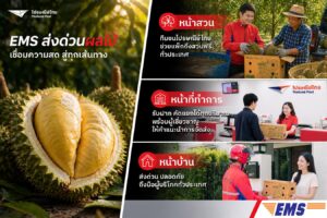 ไปรษณีย์ไทย ชู 3 กลยุทธ์ “หน้าสวน–หน้าที่ทำการ–หน้าบ้าน” หนุน “หน้าทุเรียน” และผลไม้ฤดูร้อนตลอดซีซั่น  พร้อมเดินหน้าใช้ EMS ส่งด่วนผลไม้ช่วยระบายผลผลิตทั่วประเทศ