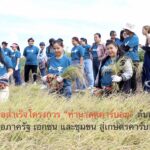 DMT เผยผลสำเร็จโครงการ “ทำนาลดคาร์บอน” ต้นแบบความร่วมมือภาครัฐ เอกชน และชุมชน สู่เกษตรคาร์บอนต่ำ